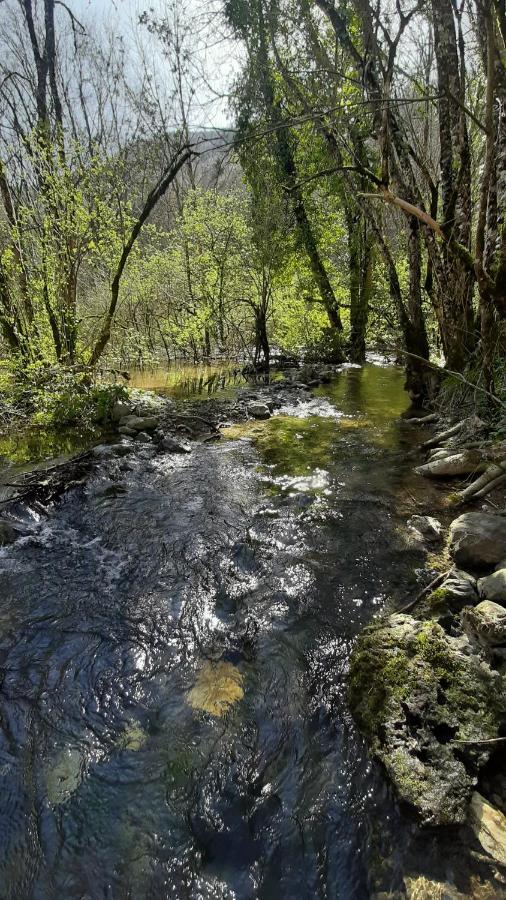 Virieu-le-Grand Petite Maison De Village Situee Entre Lacs, Cascades Et Montagnes מראה חיצוני תמונה